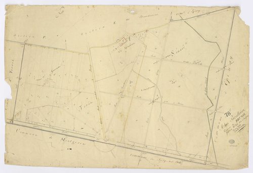 BRUNOY. - Section G - Forêt (la), ech. 1/2500, coul., aquarelle, papier, 65x94 (1810). 