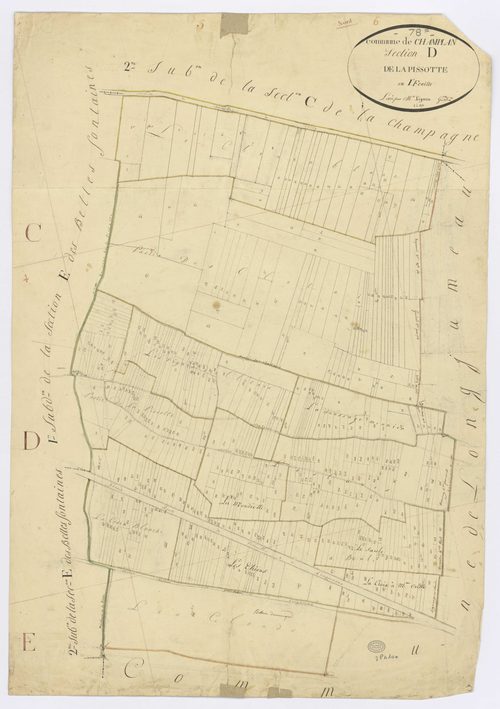 CHAMPLAN. - Section D - Pissotte (la), ech. 1/1250, coul., aquarelle, papier, 85x59 (1811). 