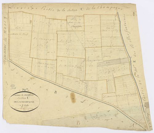 CHAMPLAN. - Section C - Champagne (la), 1, ech. 1/1250, coul., aquarelle, papier, 68x78 (1811). 