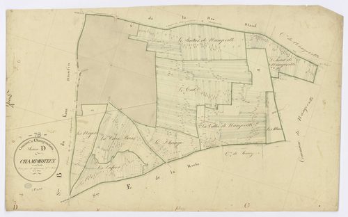 CHAMPMOTTEUX. - Section D - de Champmotteux, ech. 1/2500, coul., aquarelle, papier, 64x97 (1813). 