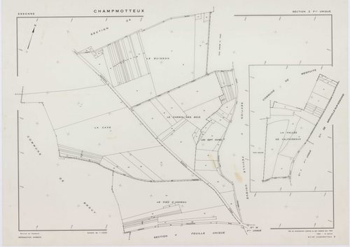 CHAMPMOTTEUX, plans minutes de conservation : tableau d'assemblage, 1953, Ech. 1/10000 ; plans des sections V, W, X, Y, Z, 1953, Ech. 1/2000, section ZA, 1961, Ech. 1/2000. Polyester. N et B. Dim. 105 x 80 cm [7 plans]. 