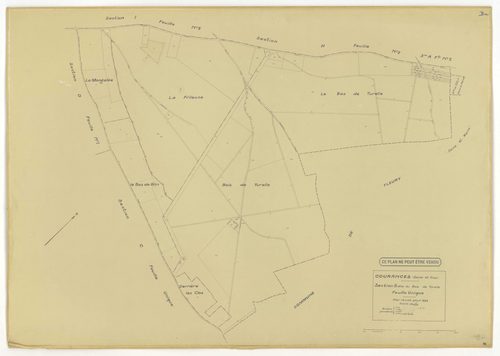 Plans minutes de conservation : COURANCES : tableau d'assemblage, ech. 1/10000 (1934), sections A1, A2, C, D1, D2, D3, E1, E2, G, H1, H2, I1, I2, ech. 1/1250 (1934), sections B, F, ech. 1/2500 (1934), NB, papier, 105x80 [16 plans]. 