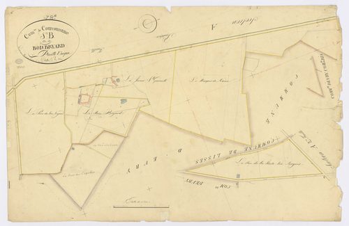 COURCOURONNES. - Section B - Bois Briard (le), ech. 1/2500, coul., aquarelle, papier, 64x97 (1823). 