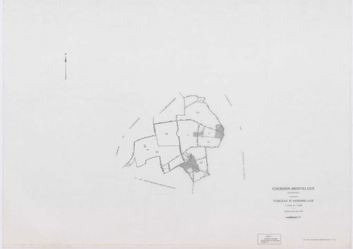 COURSON-MONTELOUP, plans minutes de conservation : tableau d'assemblage,1933, Ech. 1/10000 ; plans des sections A1, C, 1933, Ech. 1/2500, sections A1, C, 1933, Ech. 1/2500, sections ZA, ZB, ZC, ZD, ZE, 1993, Ech. 1/2000. Polyester. N et B. Dim. 105 x 80 c