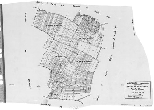 DANNEMOIS.- Cadastre révisé pour 1935 : plan du tableau d'assemblage, plans de la section A les Bois de Dannemois 1ère feuille, idem 3ème feuille, idem 4ème feuille, section B la Justice 1ère feuille, idem 2ème feuille, section C Limery 1ère feuille, sect