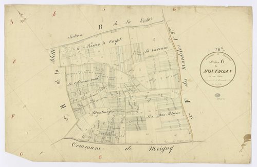 DANNEMOIS. - Section G - Mont Moyen (le), ech. 1/2500, coul., aquarelle, papier, 63x98 (1816). 