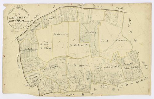 DANNEMOIS. - Section A - Roche écrite (la) et les Bois de Dannemois, ech. 1/2500, coul., aquarelle, papier, 63x97 (1815). 