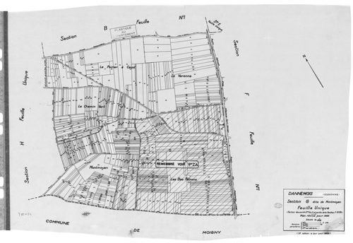 DANNEMOIS.- Cadastre révisé pour 1935 : plan du tableau d'assemblage, plans de la section A les Bois de Dannemois 1ère feuille, idem 3ème feuille, idem 4ème feuille, section B la Justice 1ère feuille, idem 2ème feuille, section C Limery 1ère feuille, sect