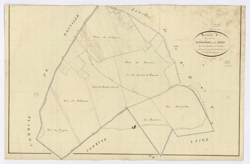 D'HUISON-LONGUEVILLE. - Section D - de la Boissière et des Bois, 2, ech. 1/2500, coul., aquarelle, papier, 60x92 (1817). 