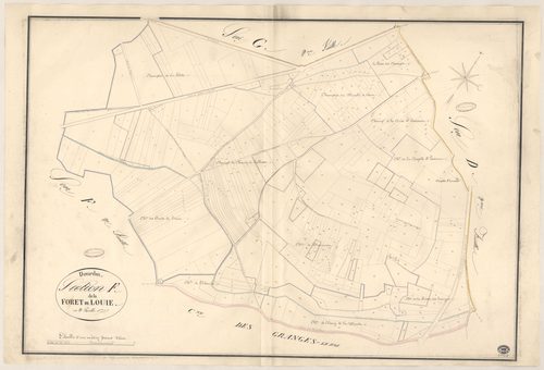 DOURDAN. - Section F : Forêt de Louie (la), 1ère feuille. 