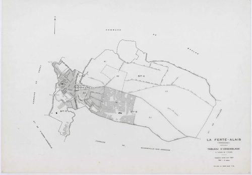 FERTE-ALAIS (LA), plans minutes de conservation : tableau d'assemblage, 1957, Ech. 1/5000 ; plans des sections A1, A2, B2, 1957, Ech. 1/2500, sections A3, AB, AC, B1, 1957, Ech. 1/1000, section C, 1957, Ech. 1/1250. Polyester. N et B. Dim. 105 x 80 cm [9 