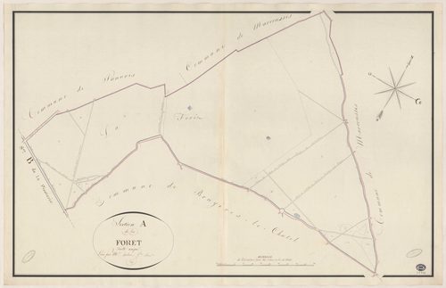 FONTENAY-LES-BRIIS. - Section A : Forêt (la). 