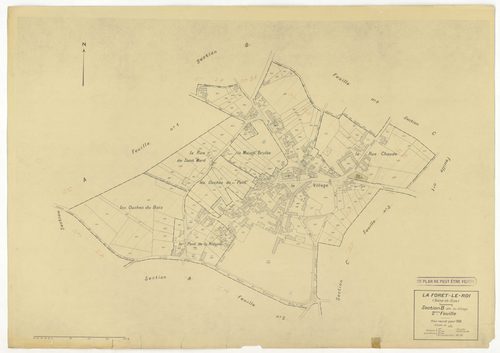 Plans minutes de conservation : FORET-LE-ROI (LA) : tableau d'assemblage n°1, ech. 1/10000 (1938), sections B1, B2, ech. 1/1250 (1938), sections A1, A2, C1, C2, ech. 1/2500 (1938) ; sections A1, B1, B2, ech. 1/1250 (1938-1963) ; tableau d'assemblage n°2, 