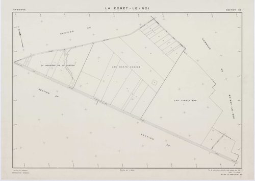 FORET-LE-ROI (LA), plans minutes de conservation : tableau d'assemblage, 1938, Ech. 1/5000 ; plans des section W, X1, Y1, Y2, Z, 1953, Ech. 1/2000, section X2, 1953, Ech. 1/1000. Polyester. N et B. Dim. 105 x 80 cm [7 plans]. 