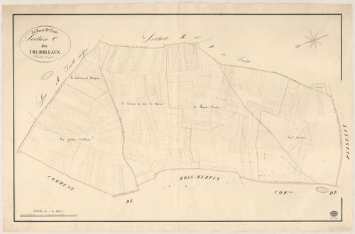 FORET-SAINTE-CROIX (LA). - Section C : Trembleaux (les). 