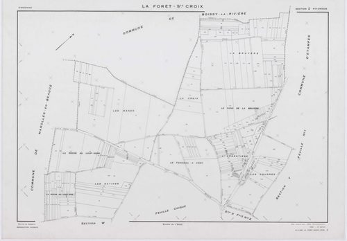 FORET-SAINTE-CROIX (LA), plans minutes de conservation : tableau d'assemblage, 1953, Ech. 1/5000 ; plans des sections W, X1, Y1, Y2, Z, 1953, Ech. 1/2000, section X2, 1953, Ech. 1/1000. Polyester. N et B. Dim. 105 x 80 cm [7 plans]. 