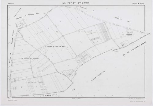 FORET-SAINTE-CROIX (LA), plans minutes de conservation : tableau d'assemblage, 1953, Ech. 1/5000 ; plans des sections W, X1, Y1, Y2, Z, 1953, Ech. 1/2000, section X2, 1953, Ech. 1/1000. Polyester. N et B. Dim. 105 x 80 cm [7 plans]. 