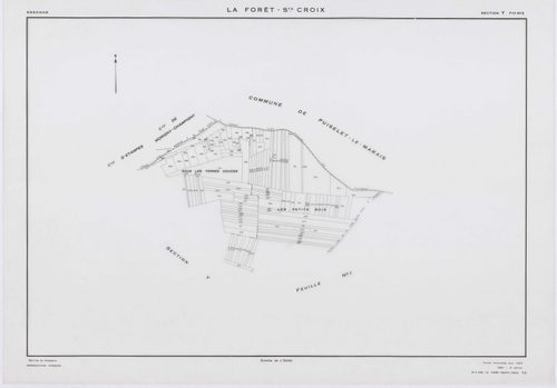 FORET-SAINTE-CROIX (LA), plans minutes de conservation : tableau d'assemblage, 1953, Ech. 1/5000 ; plans des sections W, X1, Y1, Y2, Z, 1953, Ech. 1/2000, section X2, 1953, Ech. 1/1000. Polyester. N et B. Dim. 105 x 80 cm [7 plans]. 