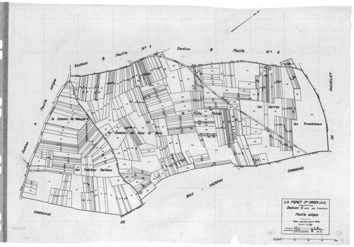FORET-SAINTE-CROIX (la).- Cadastre révisé pour 1933 : plan du tableau d'assemblage, plans de la section A les Gâtines, section B le Village 1ère feuille, idem 2ème feuille, section C les Trembleaux, [5 plans]. 
