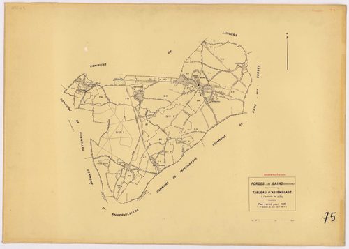 FORGES-LES-BAINS. - Plan révisé pour 1935, à jour pour 1974 (2ème, 3ème édition) : plans du tableau d'assemblage, des sections A dite de Malassis (feuilles 1-2), B dite du Chardonnet (feuilles 1-2), C dite de Forges (feuilles 2-4), D dite d'Ardillères (fe