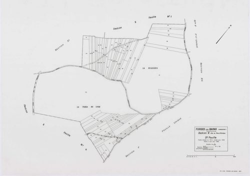 FORGES-LES-BAINS, plans minutes de conservation : tableau d'assemblage,1935, Ech. 1/10000 ; plans des sections A1, A2, B1, B2, C2, C3, C4, D1, D2, D4, E1, G1, G3, G4, H2, 1935, Ech. 1/1250, sections F1, H1, I, 1935, Ech. 1/2500, sections ZA, ZB, ZC, ZD, Z