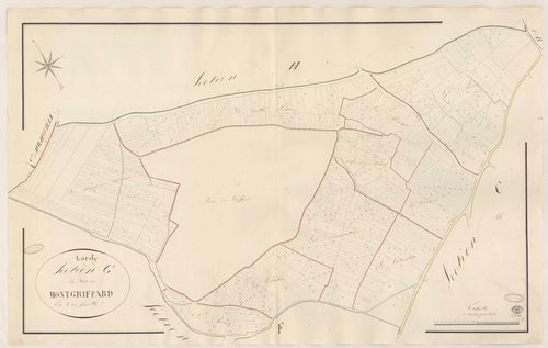 LARDY. - Section G : Bois de Montgriffard (le). 