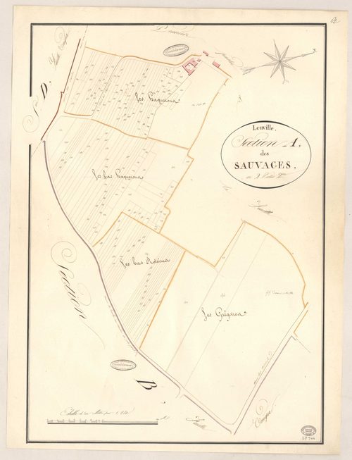 LEUVILLE-SUR-ORGE. - Section A : Sauvages (les), 1ère feuille. 