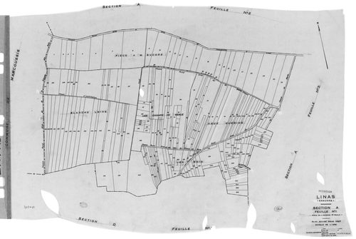 LINAS. -Cadastre révisé pour 1947 : plan du tableau d'assemblage, plans de la section A 1ère feuille, idem 2ème feuille, idem 3ème feuille, section B 1ère feuille, idem 2ème feuille, idem 3ème feuille, idem 4ème feuille, idem 5ème feuille, section C 1ère 