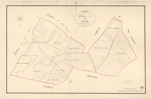 MAROLLES-EN-BEAUCE. - Section C : Vignes (les), 2e feuille. 