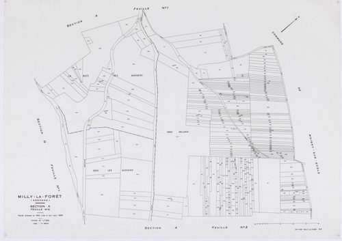 MILLY-LA-FORET, plans minutes de conservation : tableau d'assemblage, 1969, Ech. 1/5000 ; plans des sections A1, A2, A3, A4, B, D1, D2, E1, E2, E3, H1, H2, H3, I, L1, L2, O2, P1, P2, P3, 1969, Ech. 1/1250, sections F1, F2, F3, G1, G2, M1, M2, M3, M4, N, O