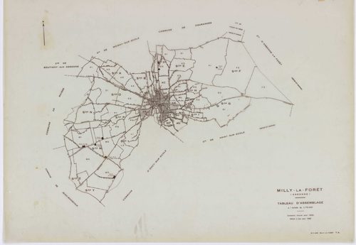 MILLY-LA-FORET, plans minutes de conservation : tableau d'assemblage, 1969, Ech. 1/5000 ; plans des sections A1, A2, A3, A4, B, D1, D2, E1, E2, E3, H1, H2, H3, I, L1, L2, O2, P1, P2, P3, 1969, Ech. 1/1250, sections F1, F2, F3, G1, G2, M1, M2, M3, M4, N, O