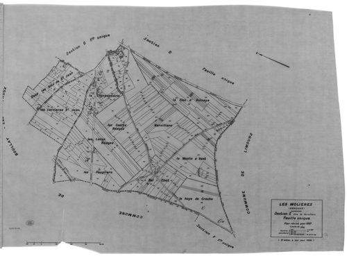 MOLIERES (LES). - Cadastre révisé pour 1937 : plans de la section A Solligny, section E Nervilliers, section F Fay, section G les Molières, section H la Cocquetière ; cadastre révisé pour 1937 mis à jour pour 1959 : plan du tableau d'assemblage ; cadastre
