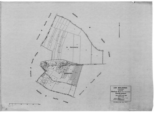 MOLIERES (LES). - Cadastre révisé pour 1937 : plans de la section A Solligny, section E Nervilliers, section F Fay, section G les Molières, section H la Cocquetière ; cadastre révisé pour 1937 mis à jour pour 1959 : plan du tableau d'assemblage ; cadastre
