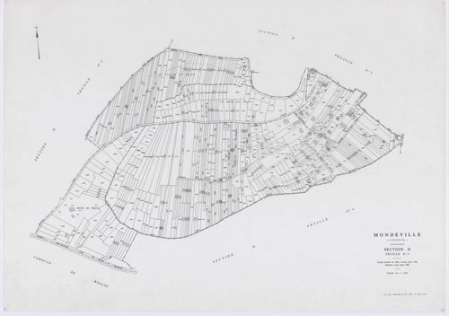 MONDEVILLE, plans minutes de conservation : tableau d'assemblage, 1936, Ech. 1/5000 ; plans des sections A1, A2, D1, D2, D3, D4, D5, 1936, Ech. 1/1250, section C, 1936, Ech. 1/2500, sections ZA, ZB, ZC, ZD, ZE, 1962, Ech. 1/2000. Polyester. N et B. Dim. 1