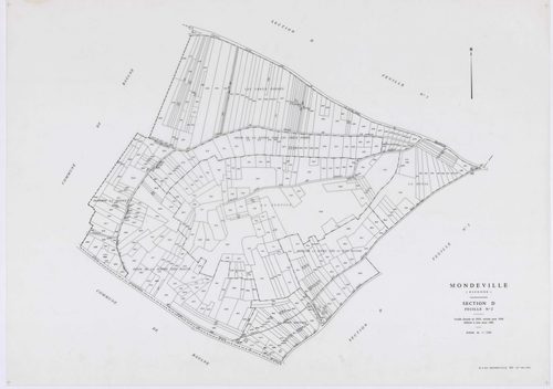 MONDEVILLE, plans minutes de conservation : tableau d'assemblage, 1936, Ech. 1/5000 ; plans des sections A1, A2, D1, D2, D3, D4, D5, 1936, Ech. 1/1250, section C, 1936, Ech. 1/2500, sections ZA, ZB, ZC, ZD, ZE, 1962, Ech. 1/2000. Polyester. N et B. Dim. 1