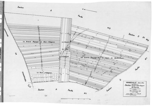 MONDEVILLE. - Cadastre révisé pour 1936 : plans de la section A le Bois d'Epignon 2ème feuille, section C la Padôle, section D la Coupe 5ème feuille ; cadastre révisé pour 1936 mis à jour pour 1964 : plan de tableau d'assemblage, plans de la section C, se