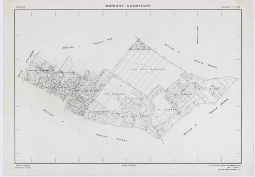 MORIGNY-CHAMPIGNY, plans minutes de conservation : tableau d'assemblage, 1954, Ech. 1/10000 ; plans des sections A, B, C2, C2a, D, E, F, G, H, I2, J, K, L, M, N, O, P, Q, R, S2, T, U, V, W1, X, 1954, Ech. 1/2000, sections C1, I1, S1, W2, 1954, Ech. 1/1000