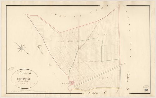 MORSANG-SUR-ORGE. - Section B : Bois Racine (le). 