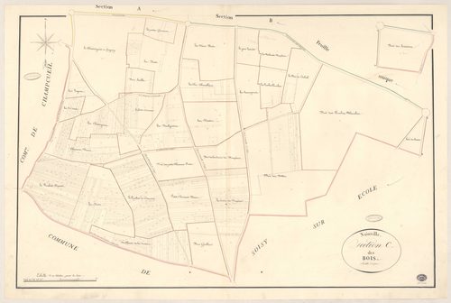 NAINVILLE-LES-ROCHES. - Section C : Bois (les). 
