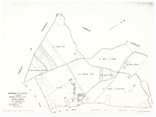 NAINVILLE-LES-ROCHES, plans minutes de conservation : tableau d'assemblage,1933, Ech. 1/10000 ; plans des sections AU, B1, CU, 1933, Ech. 1/2500, sections B2, 1933, Ech. 1/1250, sections ZA, ZB, 1962, Ech. 1/2000. Polyester. N et B. Dim. 105 x 80 cm [8 pl