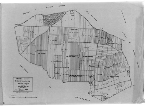 NOZAY. - Cadastre révisé pour 1942 : plans de la section B Lunezy, section C la Croix, section D le Long Réage, section E le Village ; cadastre révisé pour 1942 mis à jour pour 1975 : plans de la section A Villarceaux, section D le Long Réage, [6 plans]. 