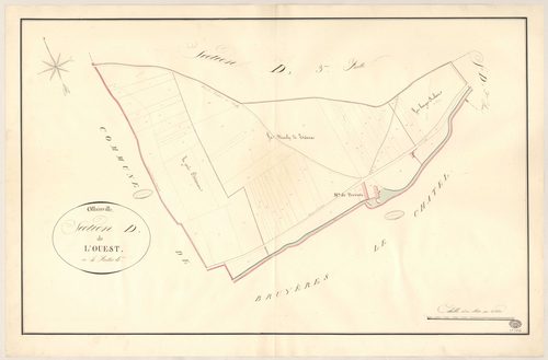 OLLAINVILLE. - Section D : Ouest (l'), 4e feuille. 