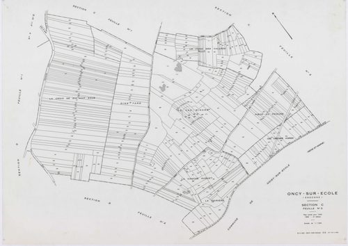 ONCY-SUR-ECOLE, plans minutes de conservation : tableau d'assemblage, 1934, Ech. 1/10000 ; plans des sections A1, A2, B1, B2, B3, C1, C2, C3, D1, D2, E1, E2, 1934, Ech. 1/1250. Polyester. N et B. Dim. 105 x 80 cm [13 plans]. 