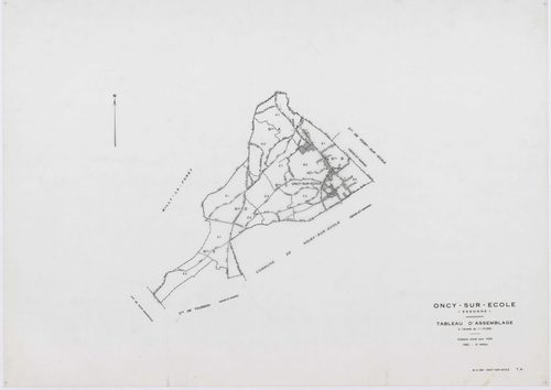 ONCY-SUR-ECOLE, plans minutes de conservation : tableau d'assemblage, 1934, Ech. 1/10000 ; plans des sections A1, A2, B1, B2, B3, C1, C2, C3, D1, D2, E1, E2, 1934, Ech. 1/1250. Polyester. N et B. Dim. 105 x 80 cm [13 plans]. 