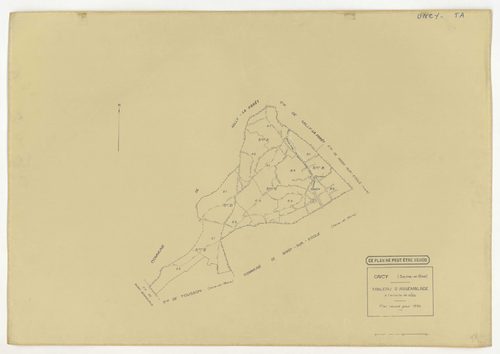 Plans minutes de conservation : ONCY-SUR-ECOLE : tableau d'assemblage n°1, ech. 1/10000 (1934), sections A1, A2, B1, B2, B3, C1, C2, C3, D1, D2, E1, E2, ech. 1/1250 (1934), NB, papier, 105x80 [13 plans]. 