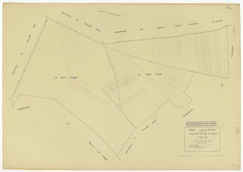 Plans minutes de conservation : ONCY-SUR-ECOLE : tableau d'assemblage n°1, ech. 1/10000 (1934), sections A1, A2, B1, B2, B3, C1, C2, C3, D1, D2, E1, E2, ech. 1/1250 (1934), NB, papier, 105x80 [13 plans]. 