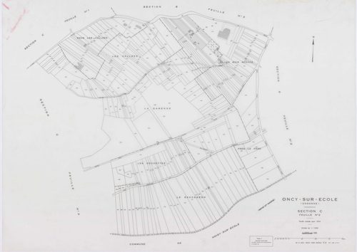 ONCY-SUR-ECOLE, plans minutes de conservation : tableau d'assemblage, 1934, Ech. 1/10000 ; plans des sections A1, A2, B1, B2, B3, C1, C2, C3, D1, D2, E1, E2, 1934, Ech. 1/1250. Polyester. N et B. Dim. 105 x 80 cm [13 plans]. 