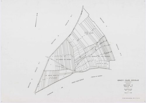 ONCY-SUR-ECOLE, plans minutes de conservation : tableau d'assemblage, 1934, Ech. 1/10000 ; plans des sections A1, A2, B1, B2, B3, C1, C2, C3, D1, D2, E1, E2, 1934, Ech. 1/1250. Polyester. N et B. Dim. 105 x 80 cm [13 plans]. 