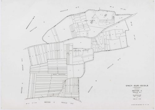 ONCY-SUR-ECOLE, plans minutes de conservation : tableau d'assemblage, 1934, Ech. 1/10000 ; plans des sections A1, A2, B1, B2, B3, C1, C2, C3, D1, D2, E1, E2, 1934, Ech. 1/1250. Polyester. N et B. Dim. 105 x 80 cm [13 plans]. 