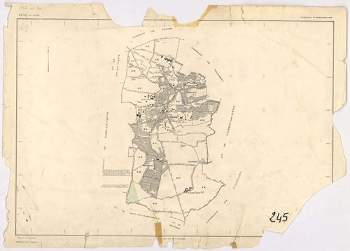 ORSAY. - Feuille renouvelée pour 1964 : plans du tableau d'assemblage, des sections AL, AO, AP, AR, AS, AW, AX, AZ. [9 plans]. 